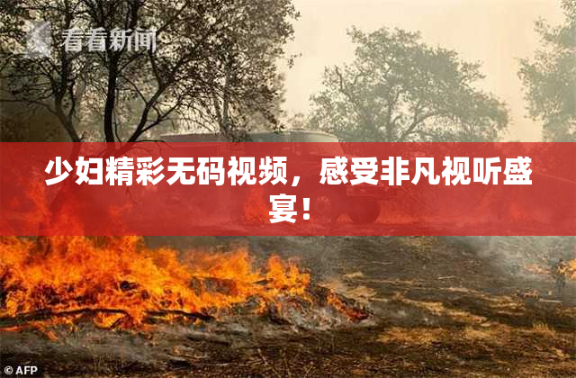 少妇精彩无码视频，感受非凡视听盛宴！