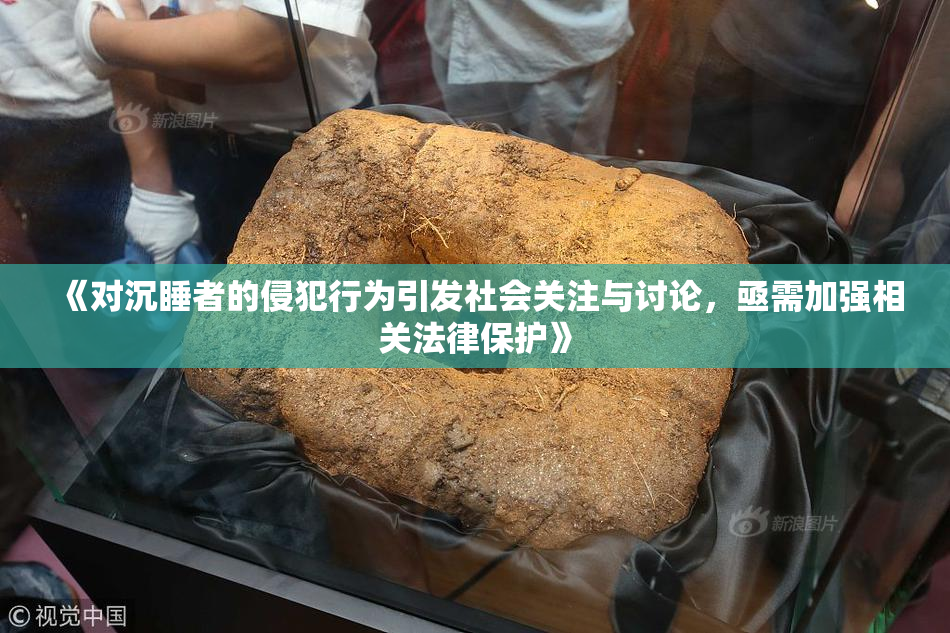 《对沉睡者的侵犯行为引发社会关注与讨论，亟需加强相关法律保护》