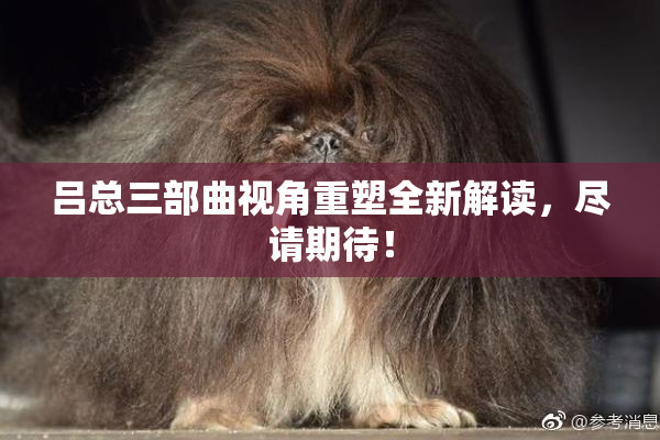 吕总三部曲视角重塑全新解读，尽请期待！