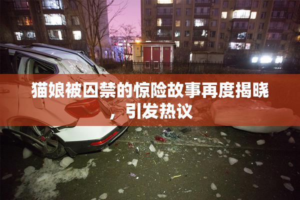 猫娘被囚禁的惊险故事再度揭晓，引发热议
