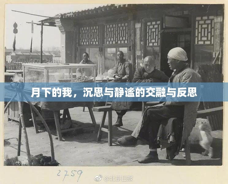 月下的我，沉思与静谧的交融与反思
