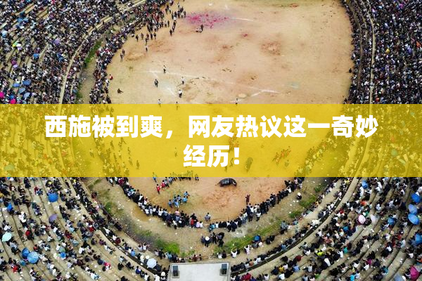 西施被到爽，网友热议这一奇妙经历！