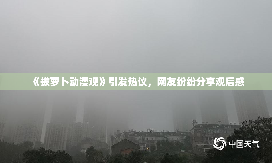 《拔萝卜动漫观》引发热议，网友纷纷分享观后感