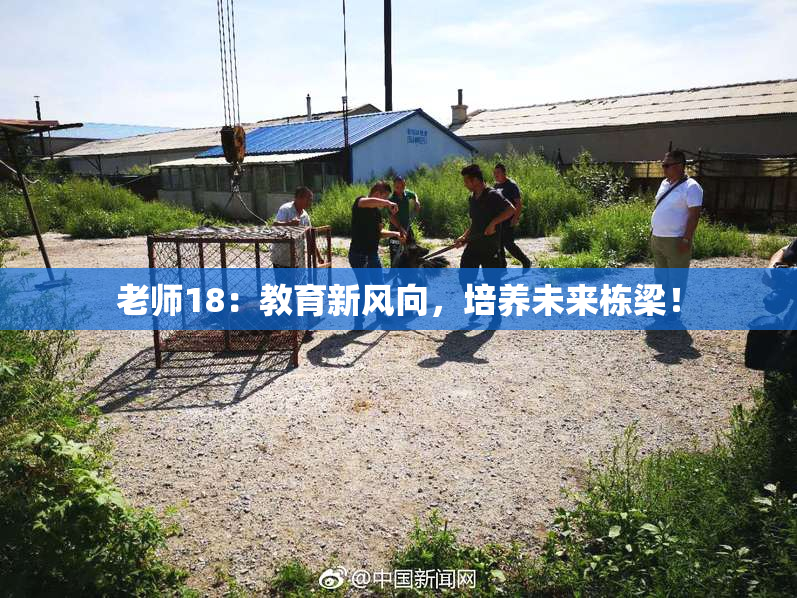 老师18：教育新风向，培养未来栋梁！
