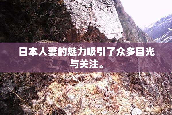 日本人妻的魅力吸引了众多目光与关注。