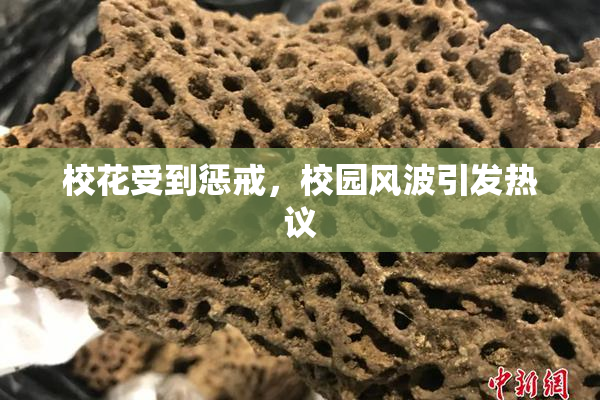 校花受到惩戒，校园风波引发热议