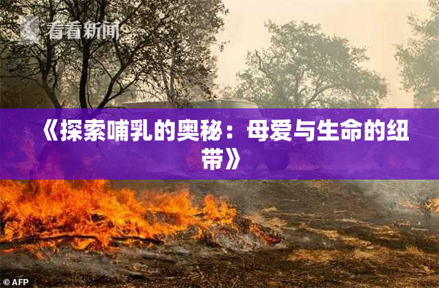 《探索哺乳的奥秘：母爱与生命的纽带》