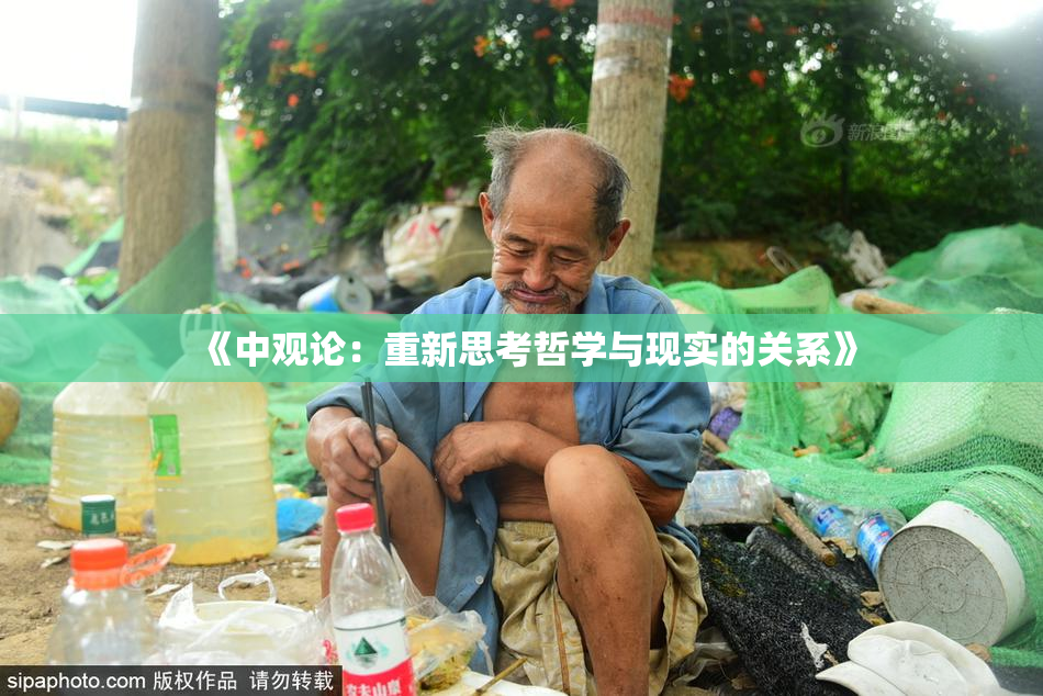 《中观论：重新思考哲学与现实的关系》