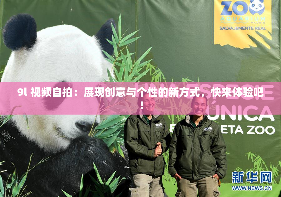 9l 视频自拍：展现创意与个性的新方式，快来体验吧！