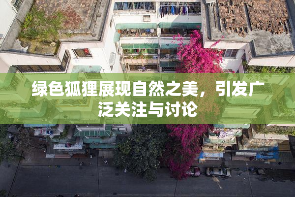 绿色狐狸展现自然之美，引发广泛关注与讨论