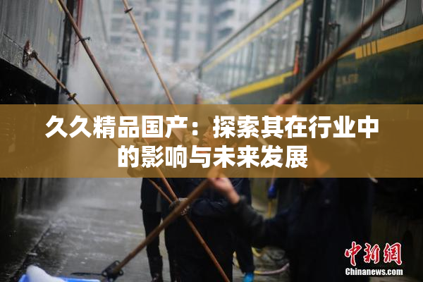 久久精品国产：探索其在行业中的影响与未来发展