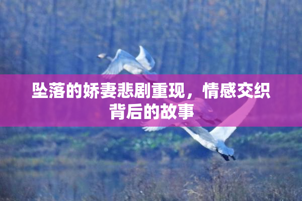 坠落的娇妻悲剧重现，情感交织背后的故事