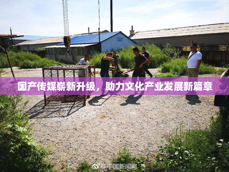 国产传媒崭新升级，助力文化产业发展新篇章