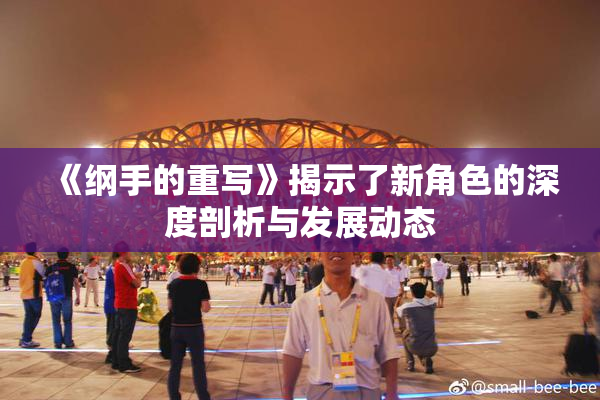 《纲手的重写》揭示了新角色的深度剖析与发展动态