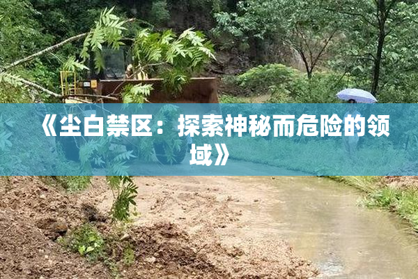 《尘白禁区：探索神秘而危险的领域》