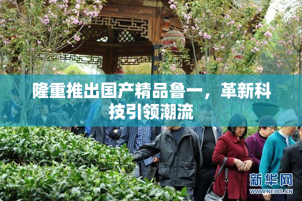 隆重推出国产精品鲁一，革新科技引领潮流