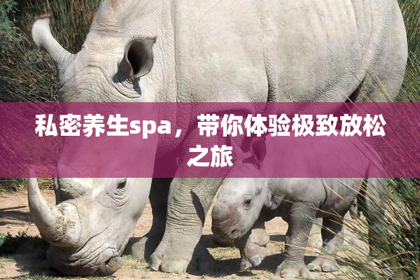 私密养生spa，带你体验极致放松之旅