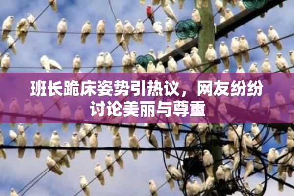班长跪床姿势引热议，网友纷纷讨论美丽与尊重