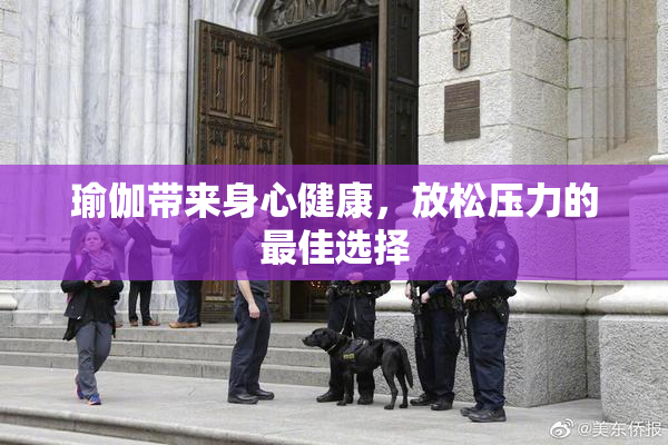 瑜伽带来身心健康，放松压力的最佳选择