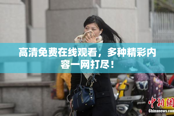 高清免费在线观看，多种精彩内容一网打尽！