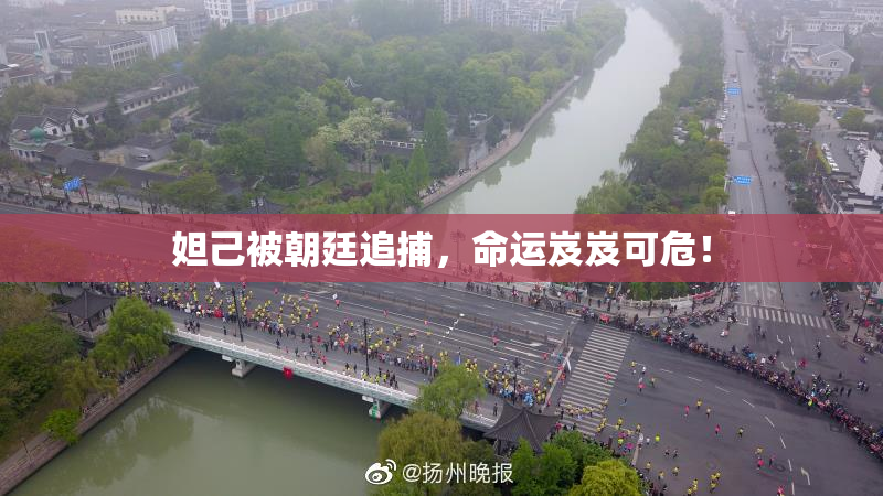 妲己被朝廷追捕，命运岌岌可危！