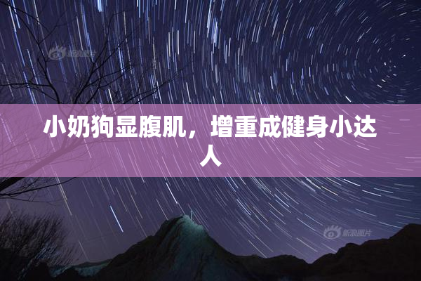 小奶狗显腹肌，增重成健身小达人
