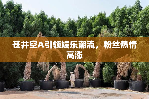 苍井空A引领娱乐潮流，粉丝热情高涨