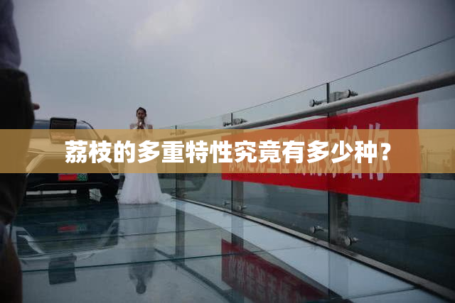 荔枝的多重特性究竟有多少种？