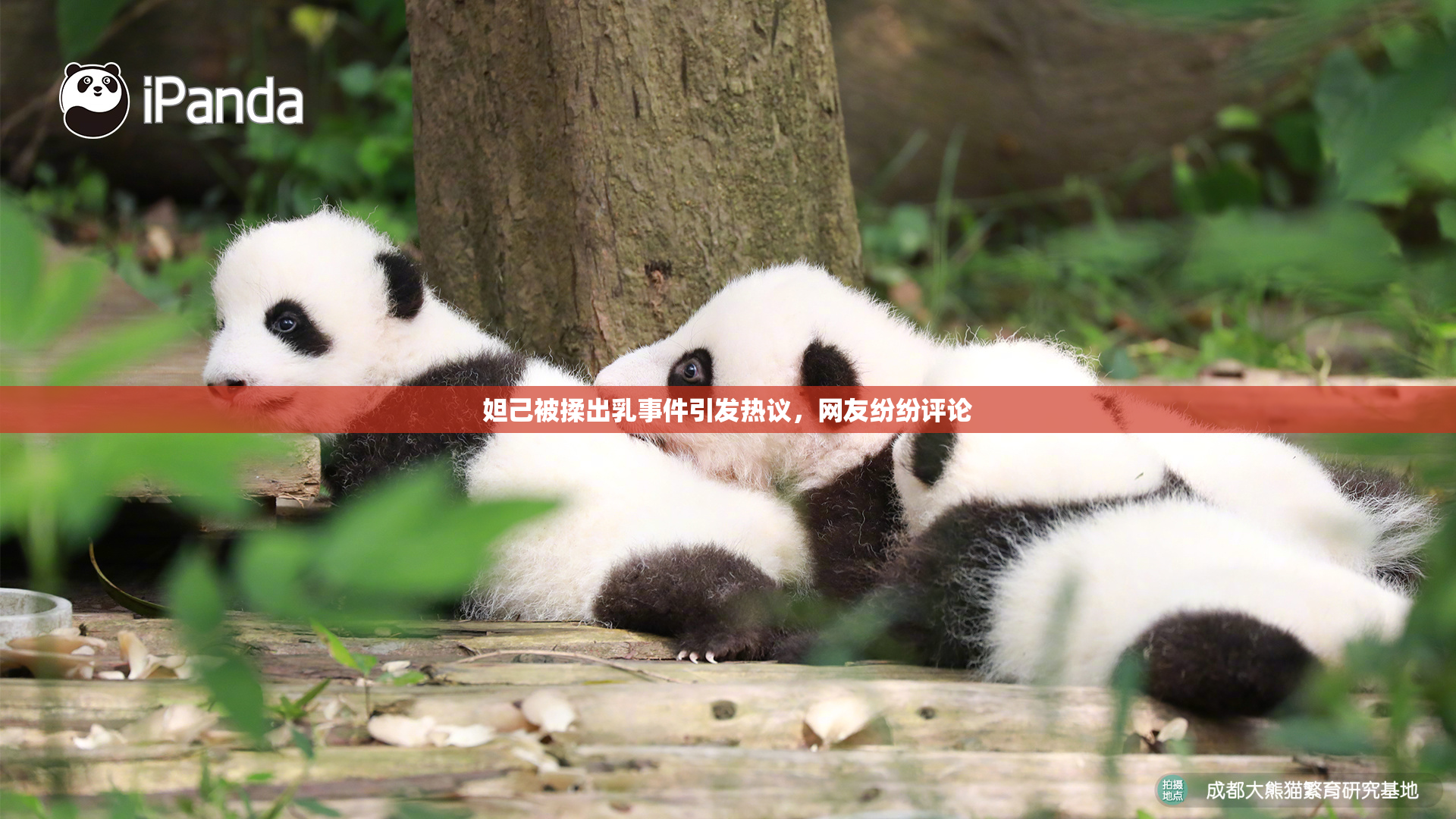妲己被揉出乳事件引发热议，网友纷纷评论