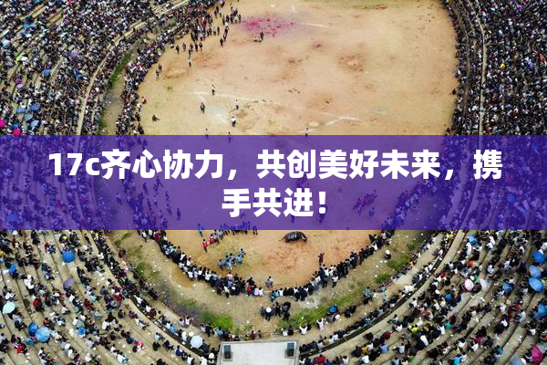 17c齐心协力，共创美好未来，携手共进！