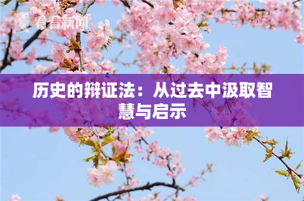历史的辩证法：从过去中汲取智慧与启示