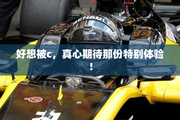 好想被c，真心期待那份特别体验！