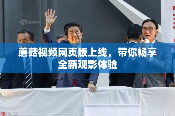 蘑菇视频网页版上线，带你畅享全新观影体验