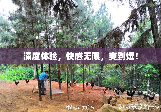 深度体验，快感无限，爽到爆！