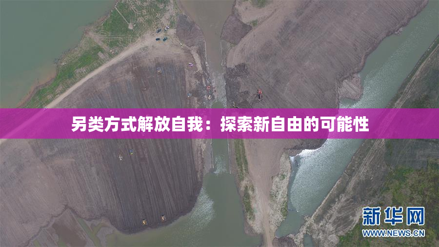 另类方式解放自我：探索新自由的可能性