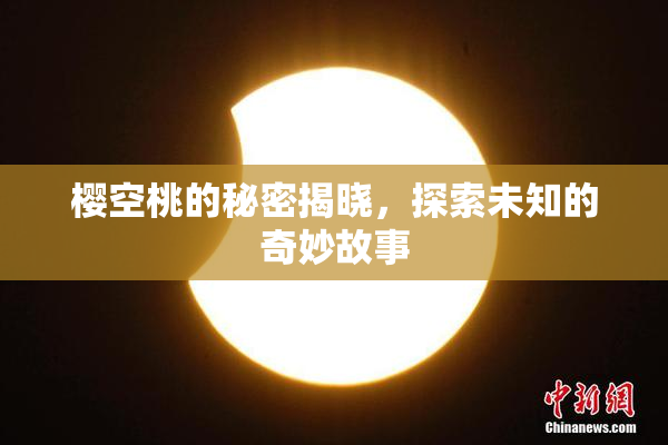樱空桃的秘密揭晓，探索未知的奇妙故事
