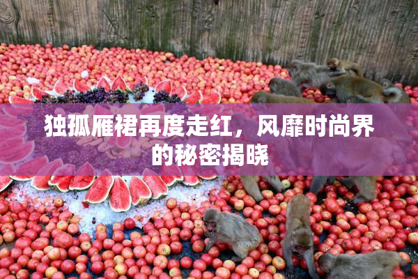 独孤雁裙再度走红，风靡时尚界的秘密揭晓