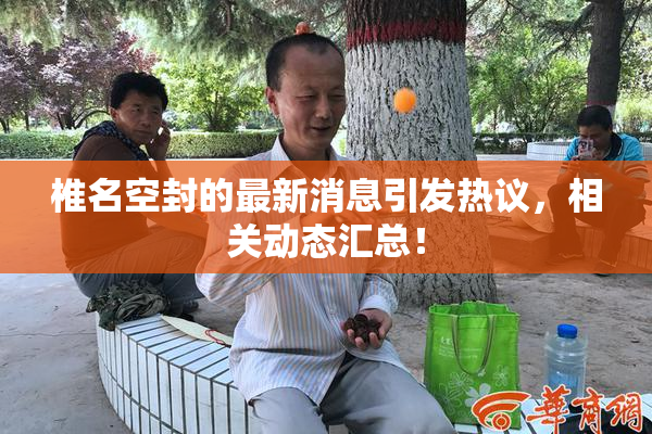 椎名空封的最新消息引发热议，相关动态汇总！