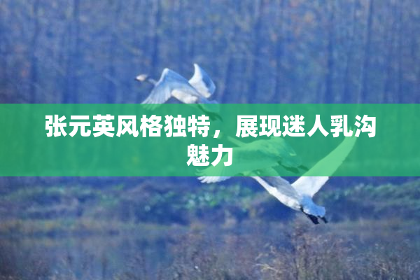 张元英风格独特，展现迷人乳沟魅力