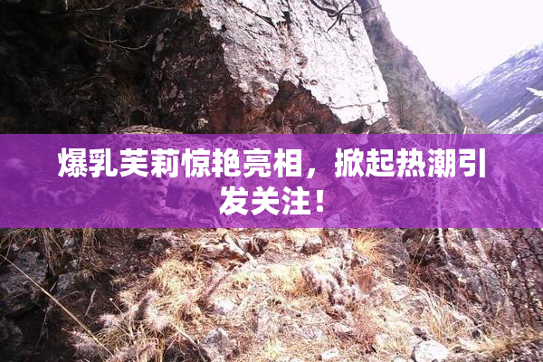 爆乳芙莉惊艳亮相，掀起热潮引发关注！