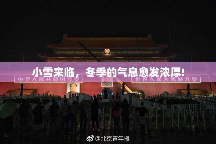 小雪来临，冬季的气息愈发浓厚!