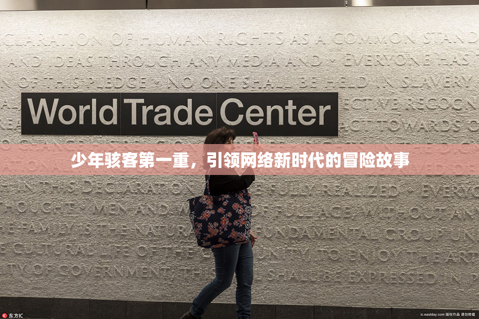 少年骇客第一重，引领网络新时代的冒险故事