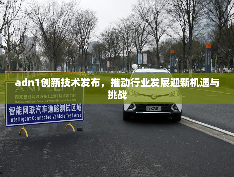 adn1创新技术发布，推动行业发展迎新机遇与挑战