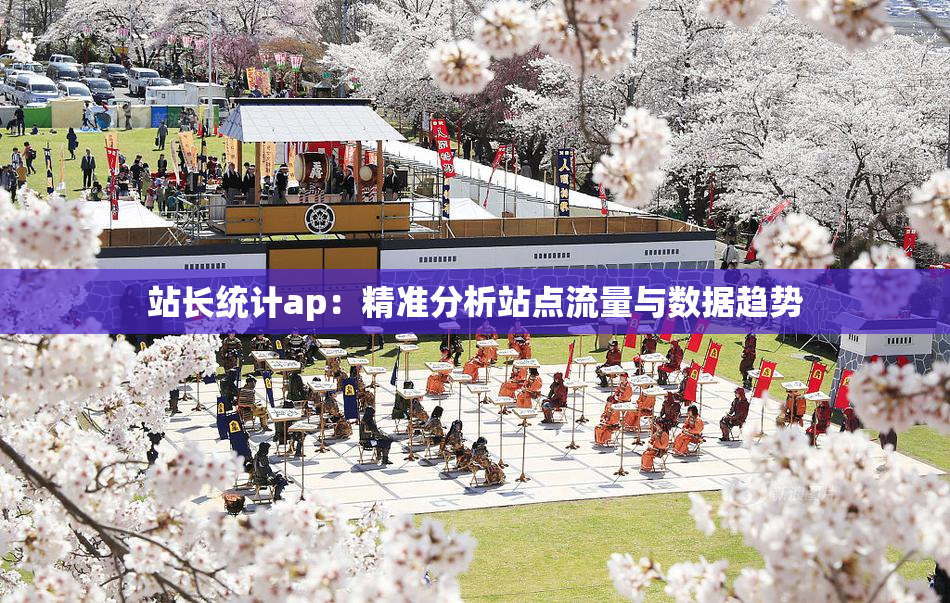 站长统计ap：精准分析站点流量与数据趋势