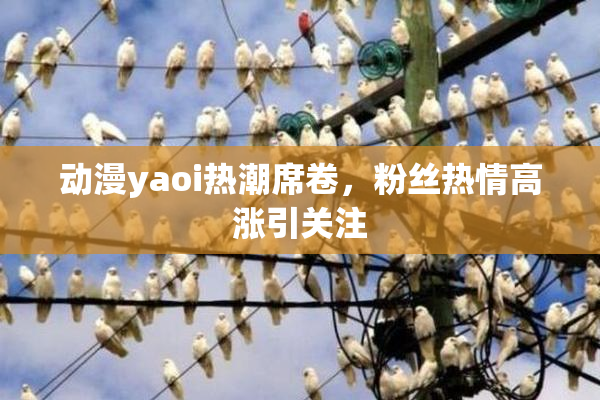 动漫yaoi热潮席卷，粉丝热情高涨引关注
