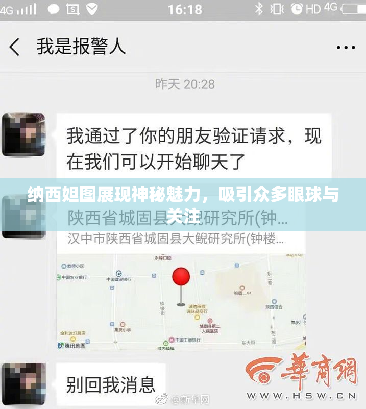 纳西妲图展现神秘魅力，吸引众多眼球与关注