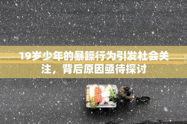 19岁少年的暴躁行为引发社会关注，背后原因亟待探讨