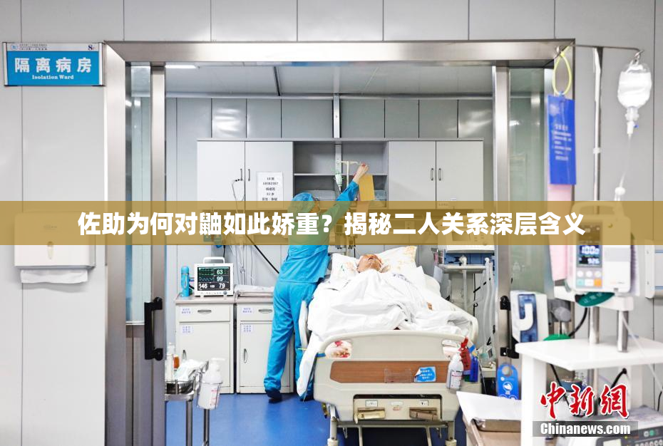 佐助为何对鼬如此娇重？揭秘二人关系深层含义