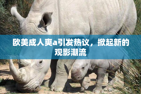 欧美成人爽a引发热议，掀起新的观影潮流