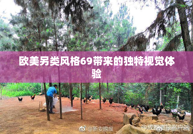 欧美另类风格69带来的独特视觉体验